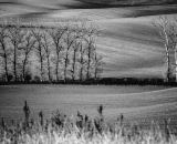 DSC_6190-Edit