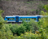 750_3082-Edit