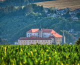810_2663-Edit-2-Edit