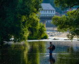 810_2688-Edit