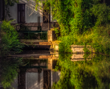 810_2741-Edit
