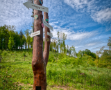 850_8058-Edit