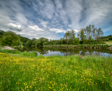 850_8077-Edit