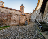 850_9688-Edit