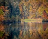 NEF_0670