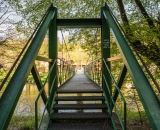 NEF_2203