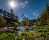 NEF_2248