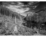 NEF_2285-Edit-2