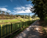 NEF_2418