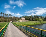 NEF_2423