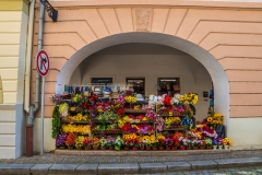 Nový Jičín