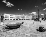 DSC_2012-Edit