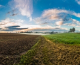 NEF_0264-Pano-2