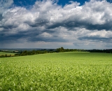 NEF_8357-Pano-2-2
