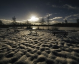 1_850_2439-Edit-2