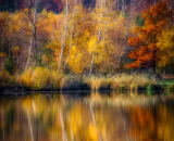 750_1230-Edit