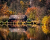 750_1240-Edit