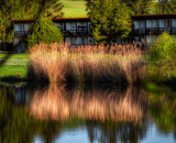 750_2868-Edit