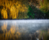 750_2936-Edit