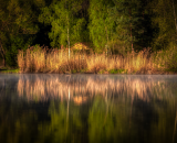 750_2949-Edit-2