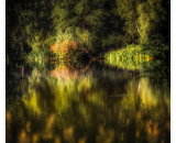 750_3188-Edit-Edit