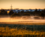 750_4006-Edit