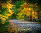 750_4141-Edit-6-Edit