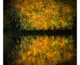 750_4170-Editramecek