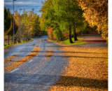 750_4225-Edit_ramecek