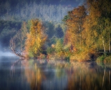 810_0335-Edit