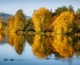 810_0400-Pano-Edit-2