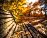 810_0878-Edit