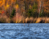810_3506-Pano-Edit-Edit-2