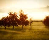 810_3908-Edit-2
