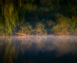810_3923-Edit-3-studio