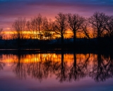 810_5259-Edit