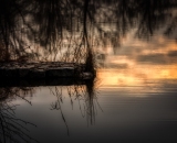 810_5457-Edit