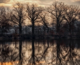 810_5466-Edit