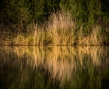810_6811