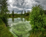 810_7449-Edit