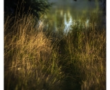 810_8772-Edit1