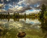 850_0376-Edit-2