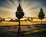 850_0962-Edit-2-Edit-Edit-2