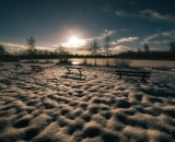 850_2439-Edit-2