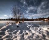 850_2446-Edit
