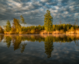 850_7513-Edit-topaz-denoise