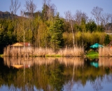 850_9034