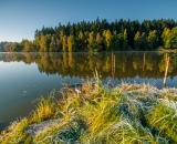Zbytky kdysi prosperujícího přírodního koupaliště pro celou Jihlavu. Pamatuji, jak tady bylo krásně..