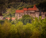 1_NEF_8659