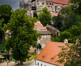 NEF_8606ps